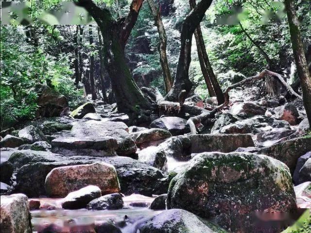 厉害了我的巧虎6