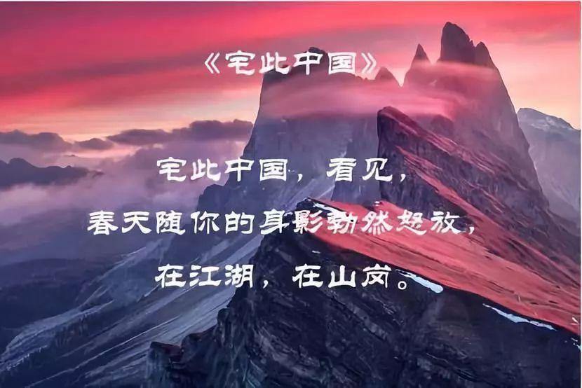 《猩球崛起4：新世界》曝剧照 人猿踏上未知旅途